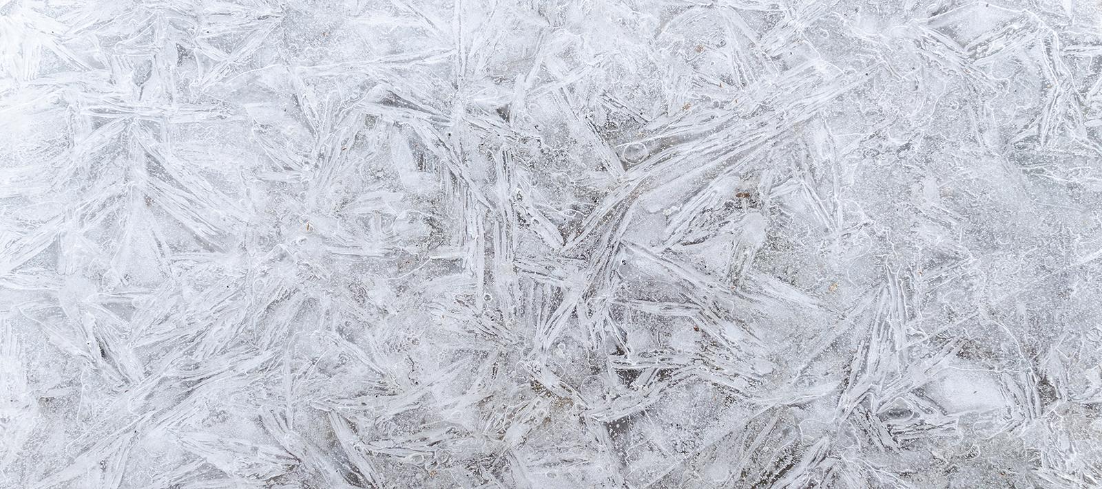 January New Releases